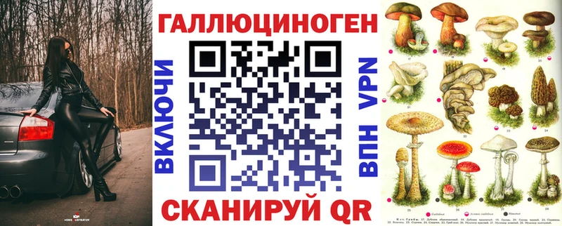 купить наркотик  Ельня  Псилоцибиновые грибы Cubensis 